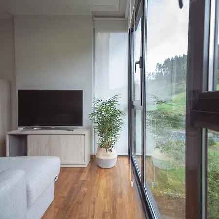 Casco Historico Apartment Viveiro